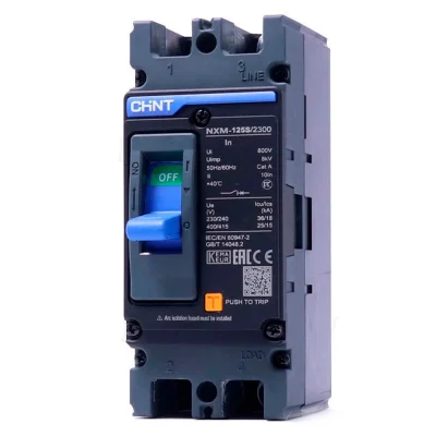 CHINT NXM-125S Moulded Case Circuit Breaker (MCCB)-2 Pole 125A