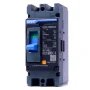 CHINT NXM-125S Moulded Case Circuit Breaker (MCCB)-2 Pole 125A
