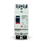 Kripal ABE-102 2-Pole 125A Moulded Case Circuit Breaker (MCCB)