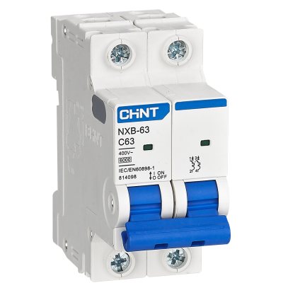 CHINT NXB-63 2P Miniature Circuit Breaker (MCB)